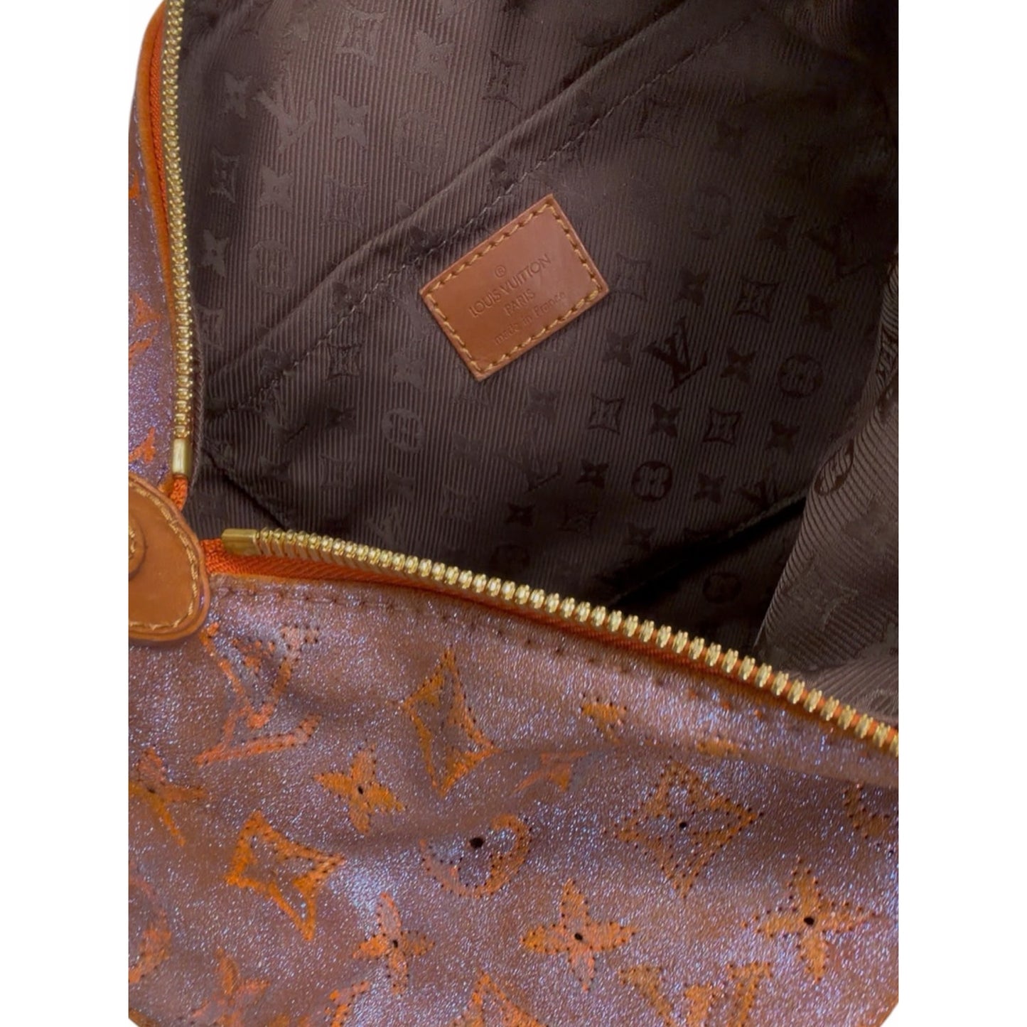 LOUIS VUITTON Runway 
Limited Edition Metallic Leather Onatah GM Bag