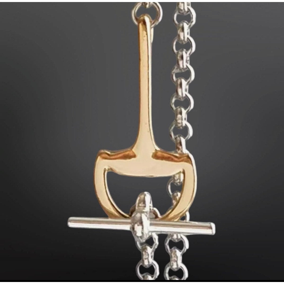 Equestrian Snaffle Bit Two Tone Gold&Silver Plated over Stainless Steel Necklace